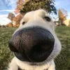 thornaive02