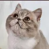 abby_juhari9