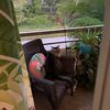 noreenmccarthy20