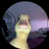 man_oel123