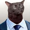 radikalneko