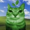 mr.bobcat_52z