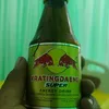 bohlam100watt