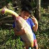 thunva_11
