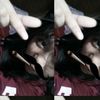 anaww_28