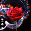 user8179381050103
