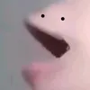 dyvy6e3yvqy2