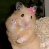 retzynee_