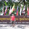 somboon9029