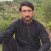 shahsaidkhan2896