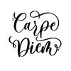 carpdiem70