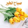 user8126280696716