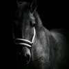 eq_el3