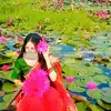 srityislam538