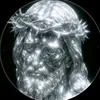 bfd_dawid1
