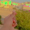 dida_kamal0