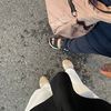 ikissedz