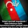 zeynalovmusahib