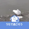 dyfu0zlxdb3j
