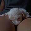 milicheli27