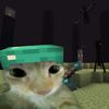 _unknown_0981