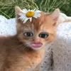 unknown_user1345789