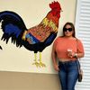 dianaliz747