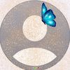 shirleyq24