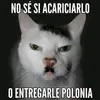 dolman_sq