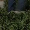 dnskkn1