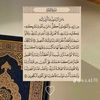 user1032zq08d7