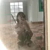 thanhhien_09.wz