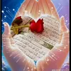 user9341673981481