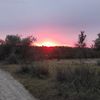 ionutbuzoianu885