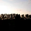 mariak2_5