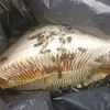 tinhchien957