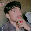 alihamzabaghella