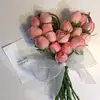 basmalaelsaadawi3