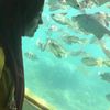 rawan_abdo4