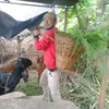 rajutamang243