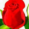 user6516814881508