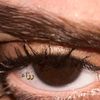 farcha_se3