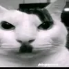 xx_alan_xxz