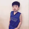 toffuturtle123