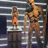 robert_12345678910111213