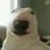 userp8jewtv4mm
