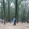 nayonbiswas535