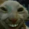moimoimoimoimoimoimoi.oi
