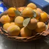 kotikole