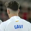 gaviw66